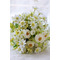 Zielone i białe kwiaty herbata kwiaty bukiet brides poślubił symulacji - Strona 1